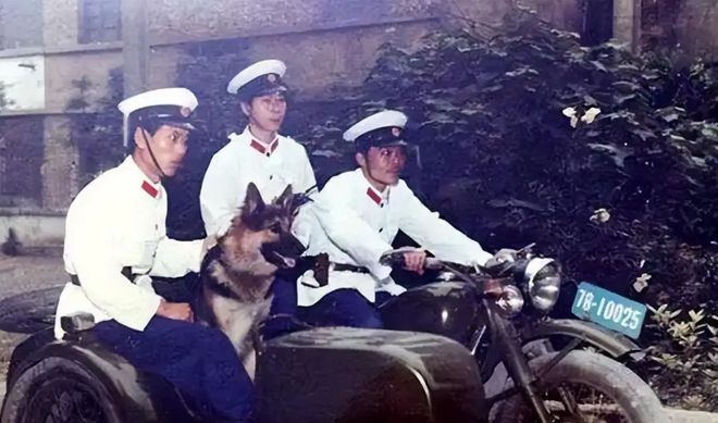 军统绝密行动最终失败但潜伏者却逃之夭夭（三）